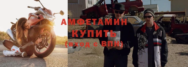 индика Вяземский