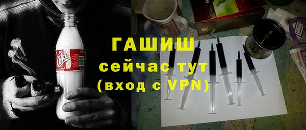 индика Вяземский