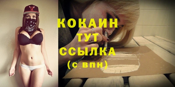 индика Вяземский