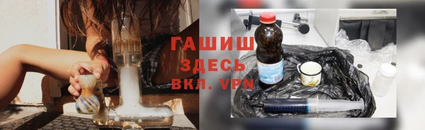 индика Вяземский
