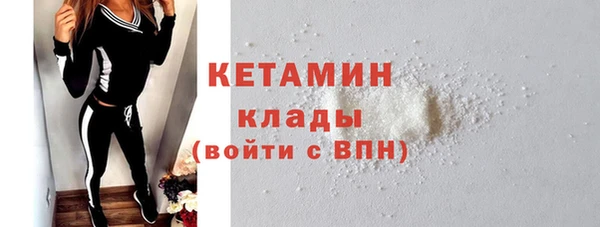 индика Вяземский