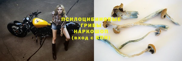 прущий лед Вязники