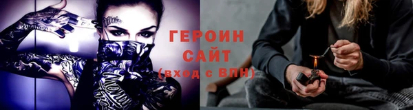 индика Вяземский