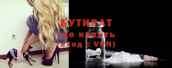 индика Вяземский