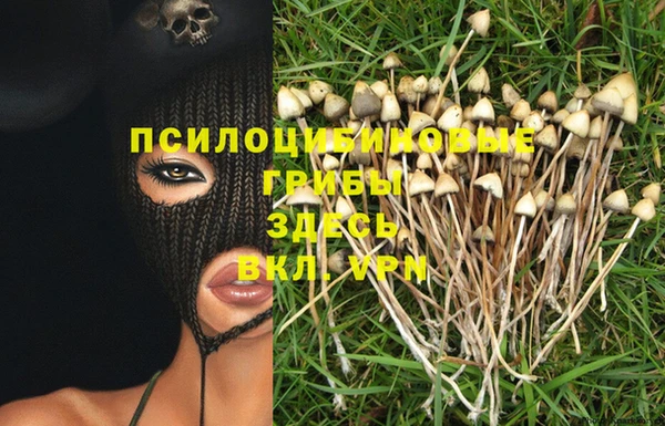 мдпв Вязьма