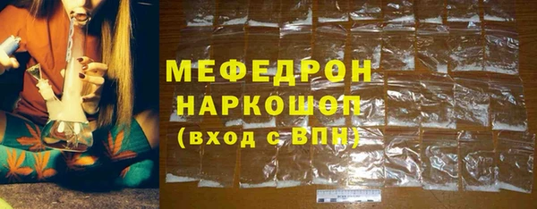 индика Вяземский