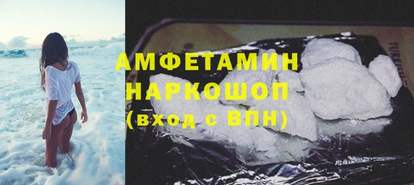 индика Вяземский