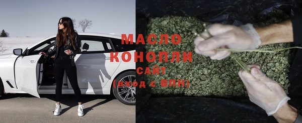 индика Вяземский