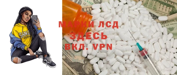 индика Вяземский