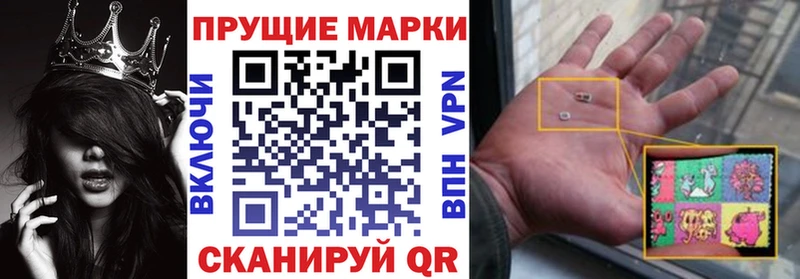 Купить где  Кемь  Марки N-bome 1,8мг 