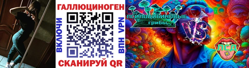 Псилоцибиновые грибы Psilocybe  Купить  Кемь 