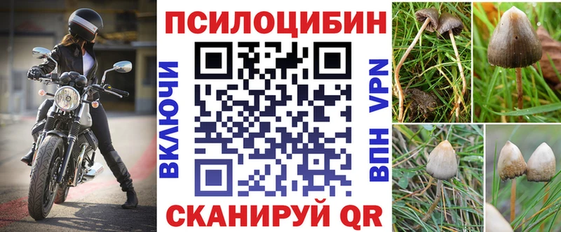 Псилоцибиновые грибы MAGIC MUSHROOMS Кемь